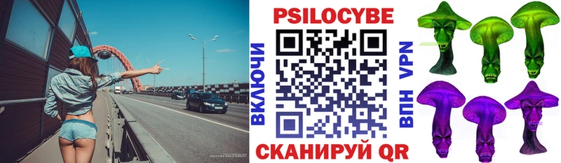 Псилоцибиновые грибы Psilocybine cubensis  площадка клад  Сысерть 